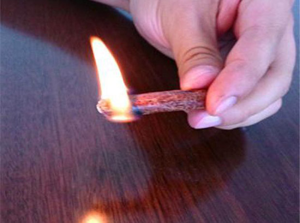 动物质燃料补贴哪里发放