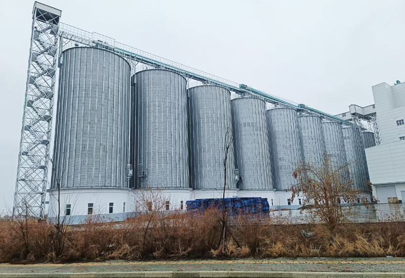 How to ensure that the steel silo can meet the safety and efficiency of grain storage?