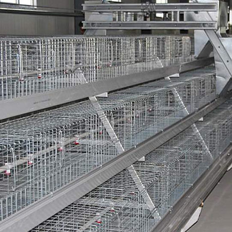 三层阶梯式育雏笼 - 鸡笼-养鸡设备-肉蛋鸡笼鸭笼-鸡笼厂清粪-河南金