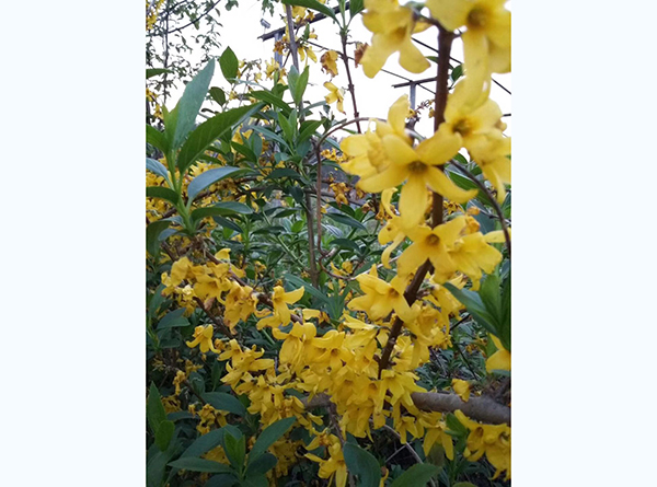 信阳市南湾湖风景区水木年华庄园