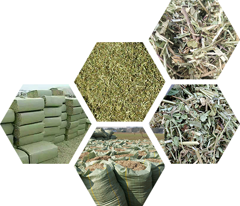 首页- 正阳县三合草业农民专业合作社,花生秧,花生秧牛草,花生秧羊草