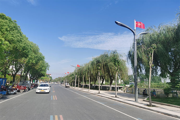 罗山滨河路智慧路灯项目